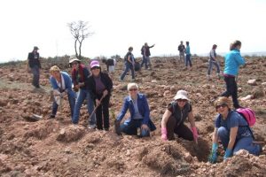 Kadın meclisi &uuml;yeleri fidan dikti