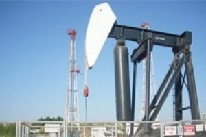 T&uuml;rkiye'nin petrol kralı