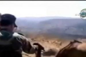 Esad askerleri hayvanları kurşuna dizdi