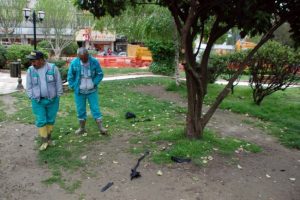 Ağaca asılı &ccedil;anta bomba sanıldı