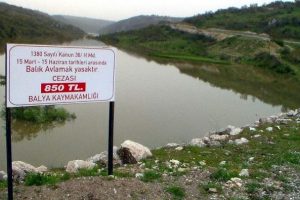 Avlanma yasağına uyulmuyor