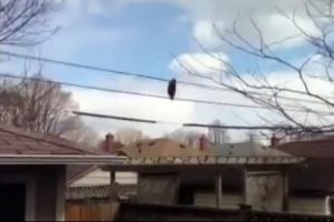G&ouml;renler hayrete d&uuml;şt&uuml;!