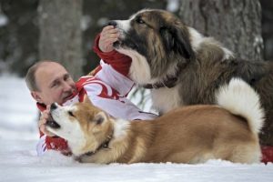 Putin sosyal medyayı salladı!
