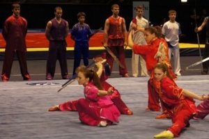 Avrupa Geleneksel Wushu Şampiyonası başladı