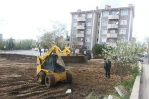 Binanın yıkılmasının ardından ağa&ccedil;lar da  dikildi