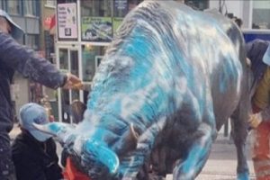 Kadık&ouml;y'&uuml;n boğasına Lazio yazdılar