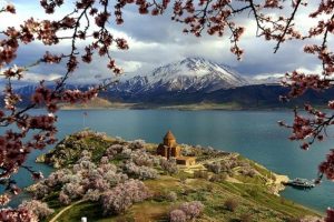Akdamar Adası'na bahar geldi