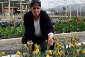 Hollanda'nın yeni rakibi Erzincan