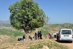 T&uuml;rkiye'yi değiştirecek piknik