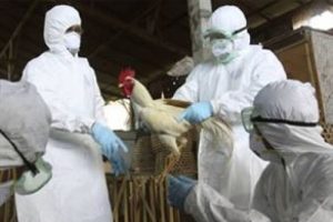 H7N9'da bilan&ccedil;o b&uuml;y&uuml;yor