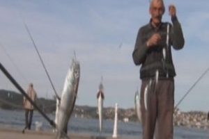 Boğazda balık keyfi