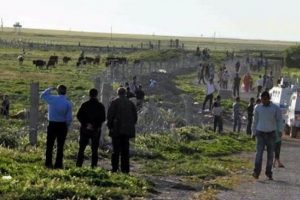 Suriye sınırında hareketlilik