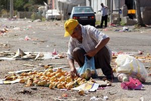 Pazar atıklarıyla besleniyor