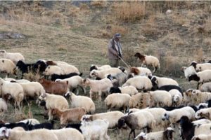 &Ccedil;&ouml;z&uuml;m s&uuml;reci besicileri umutlandırdı