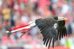 Benfica'dan Kartal şov