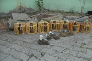 Jandarma kurtardı