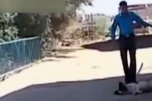 Uyuyan k&ouml;pek nasıl uyandırılır?