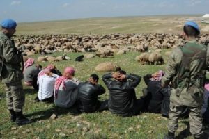 Sınırda hayvan ka&ccedil;ak&ccedil;ılığına 14 tutuklama