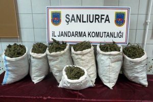 Zehir tacirlerinin oyunu tutmadı
