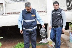 Piknik t&uuml;p&uuml; bomba gibi patladı