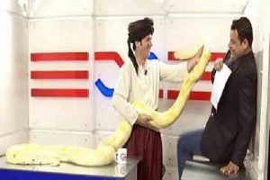 Sunucunun pitonla imtihanı