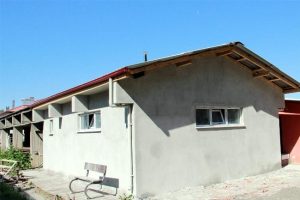 Belediye kedileri unutmadı