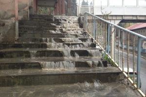 Bitlis sele teslim