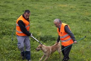 Sultanbeyli'de k&ouml;pek operasyonu