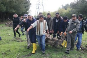 Uludağ &Uuml;niversitesi'nde geyik operasyonu!