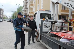 Zabıta ve polisten kaldırım operasyonu