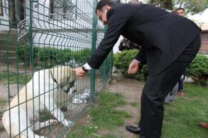 Neden bu kadar h&uuml;z&uuml;nl&uuml; duruyor?