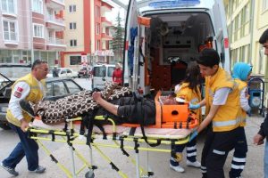 Beyşehir'de trafik kazası