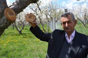 Şaşırtan manzara