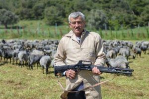Putin'in koyunlarına &ouml;zel koruma