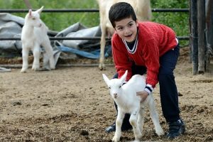 Ekolojik yaşam &ccedil;iftliği kuruldu