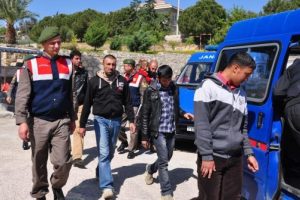 18 ka&ccedil;ak ormanlık alanda terk edildi