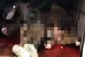 Kamyonlar &ouml;l&uuml; bedenlerle dolu!