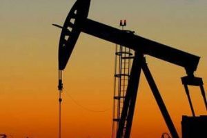 Zeytinyağı kalitesinde petrol bulundu