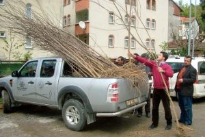 Halka fidan dağıttılar