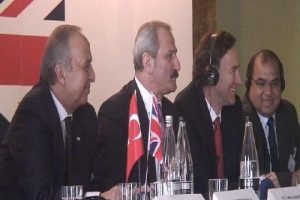 Vize zulm&uuml;ne son