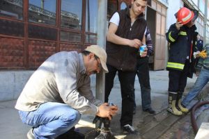 Bayılan k&ouml;peğe ayranlı m&uuml;dahale