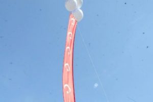 100 metrelik T&uuml;rk Bayrağı