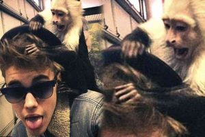 Justin maymunsuz geliyor