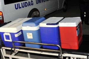Organ naklinde yeni d&ouml;nem