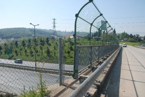 Kocaeli'de akılalmaz &ouml;l&uuml;m