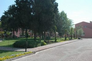 Huzurevinde intihar