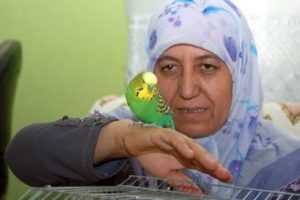 İhlas Suresini eksiksiz okuyor
