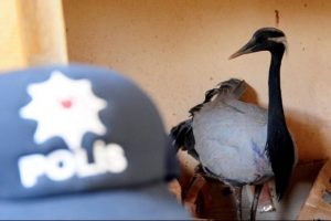 Polis koruması altında