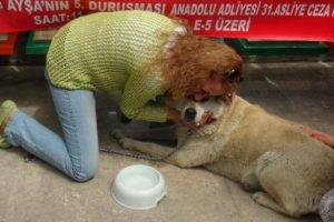 O davada karar &ccedil;ıktı