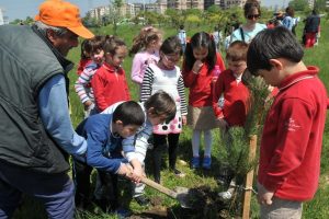 Nil&uuml;fer'de miniklerin ağa&ccedil; sevgisi